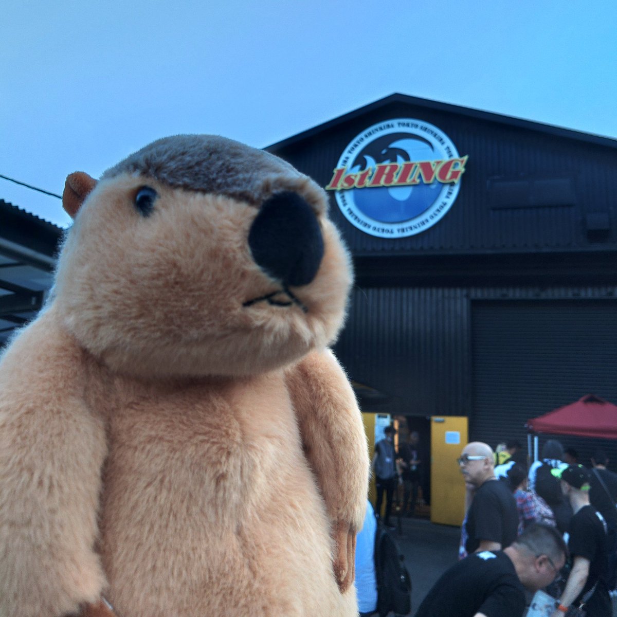 ぬい活スタート🦫
今日はここ！
#Evo_pw 
#ZONES 
#ぬい活
#マーモット