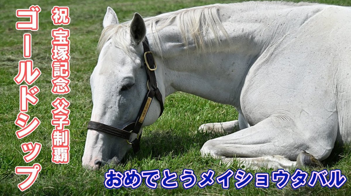㊗ゴールドシップ×メイショウタバル㊗
宝塚記念の父子制覇を祝して、繋養先のビッグレッドファームでゴールドシップの近影を撮影しました
放牧地でくつろぐゴルシの様子をごらんください
youtube.com/watch?v=osdwe5…