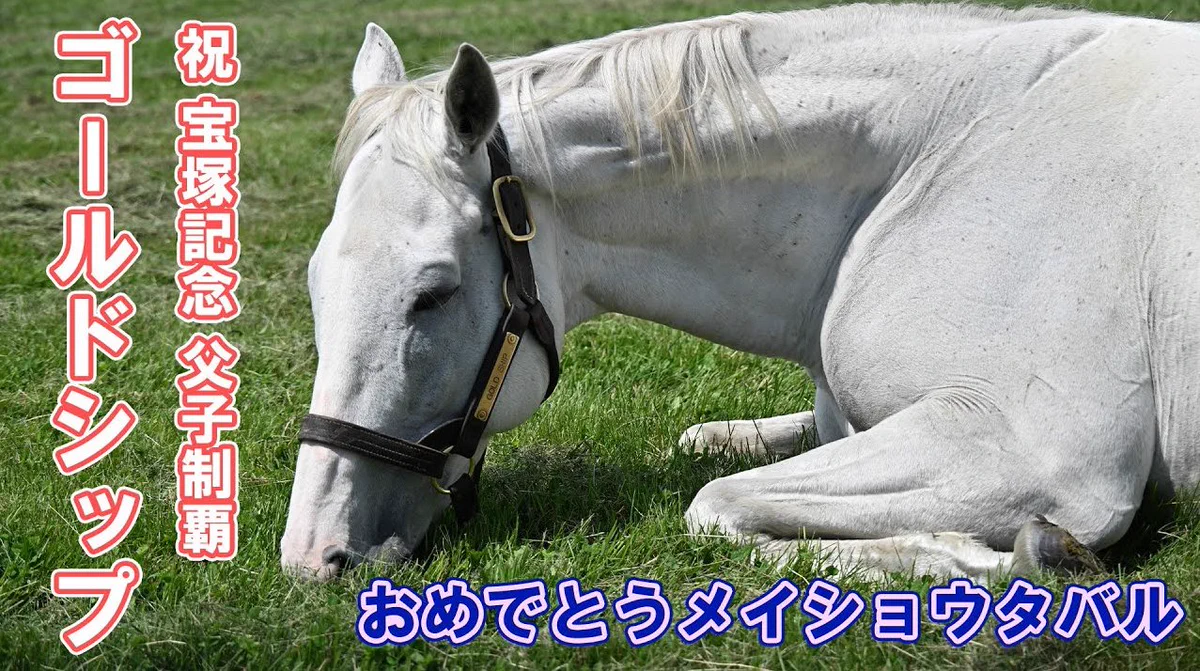 サイレンススズカ　ゴールドシップ　メイショウタバル 宝塚記念 カード 3枚セット サンスポZBAT!競馬 on X: 