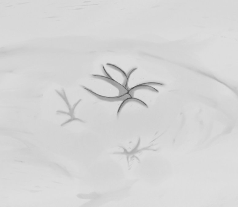 #quicksand #底なし沼 ＃mud 猫娘玩泥陷泥最后没顶（2）