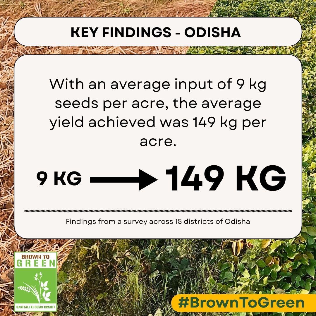 Atmashakti3's tweet photo. #BrownToGreen – Hariyali Ki Dusri Kranti
Our #SecondCropping intervention showed powerful results on rice fallow lands. Let’s scale this success nationwide! Urge @AgriGoI to support second cropping for a #ViksitBharat.
#ZeroIrrigation #RiceFallowManagement https://t.co/uwytDKv5Ir