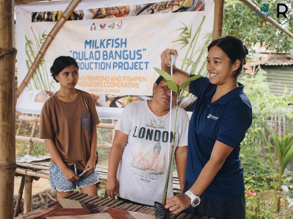 OceanusPH's tweet photo. Empowered by the ocean, led by the community. Project MaSANAYAN is training youth &amp; local leaders from La Union to Surigao del Sur to protect #mangroves &amp; #seagrass. Through science, restoration &amp; grassroots action, they’re becoming stewards of their seas.
https://t.co/K0BNc9BLWw https://t.co/xJ7f3wfXoX