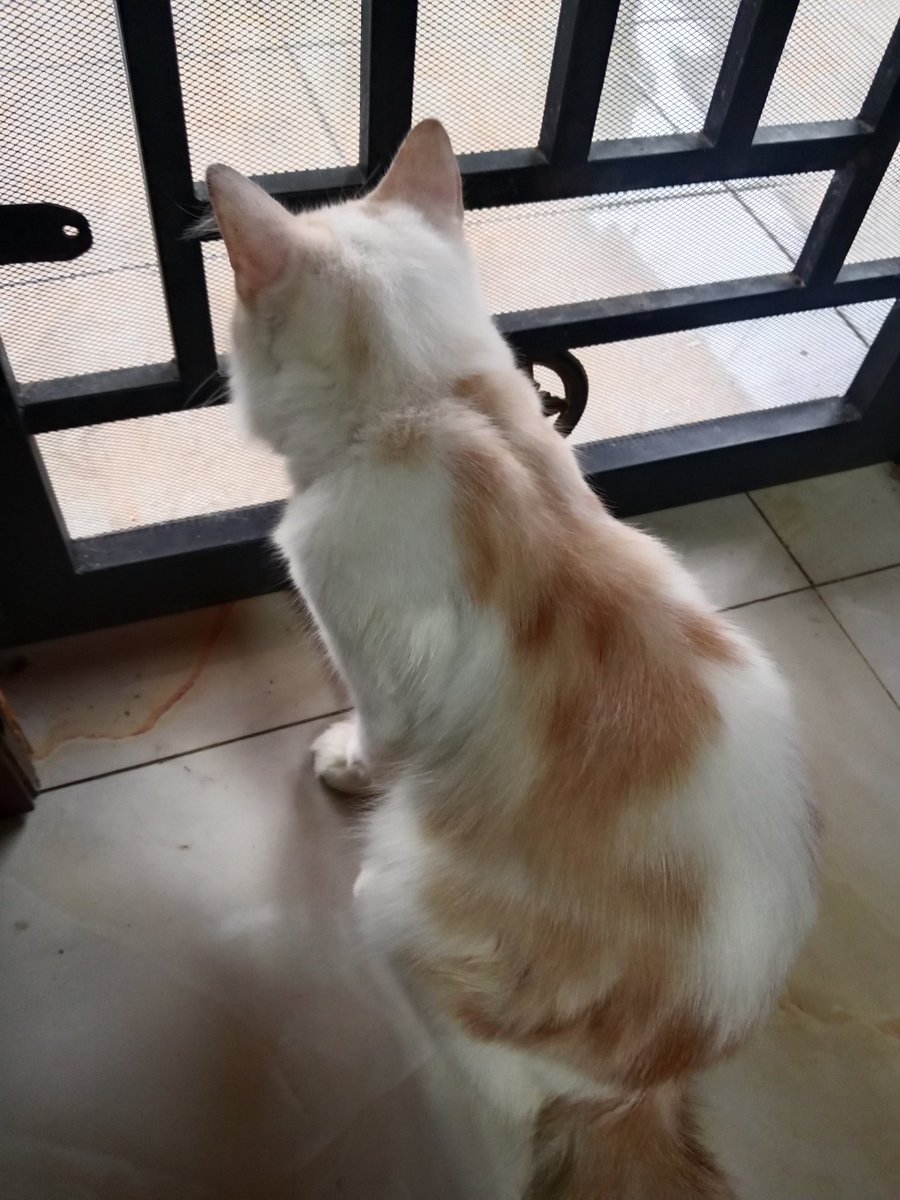 menunggu tamu datang