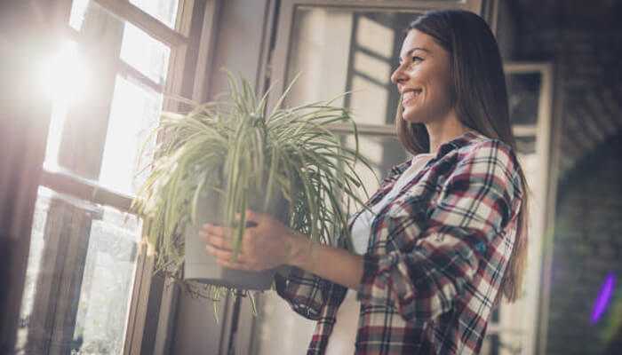 TycoonStoryCo's tweet image. Want a plant that thrives with almost zero effort?

Here are 7 stylish ways to grow spider plants indoors – from hanging pots to self-watering planters.

tycoonstory.com/7-stylish-ways…

#growspiderplantsindoors #indoorplants #plantdecor #hometips #greenliving