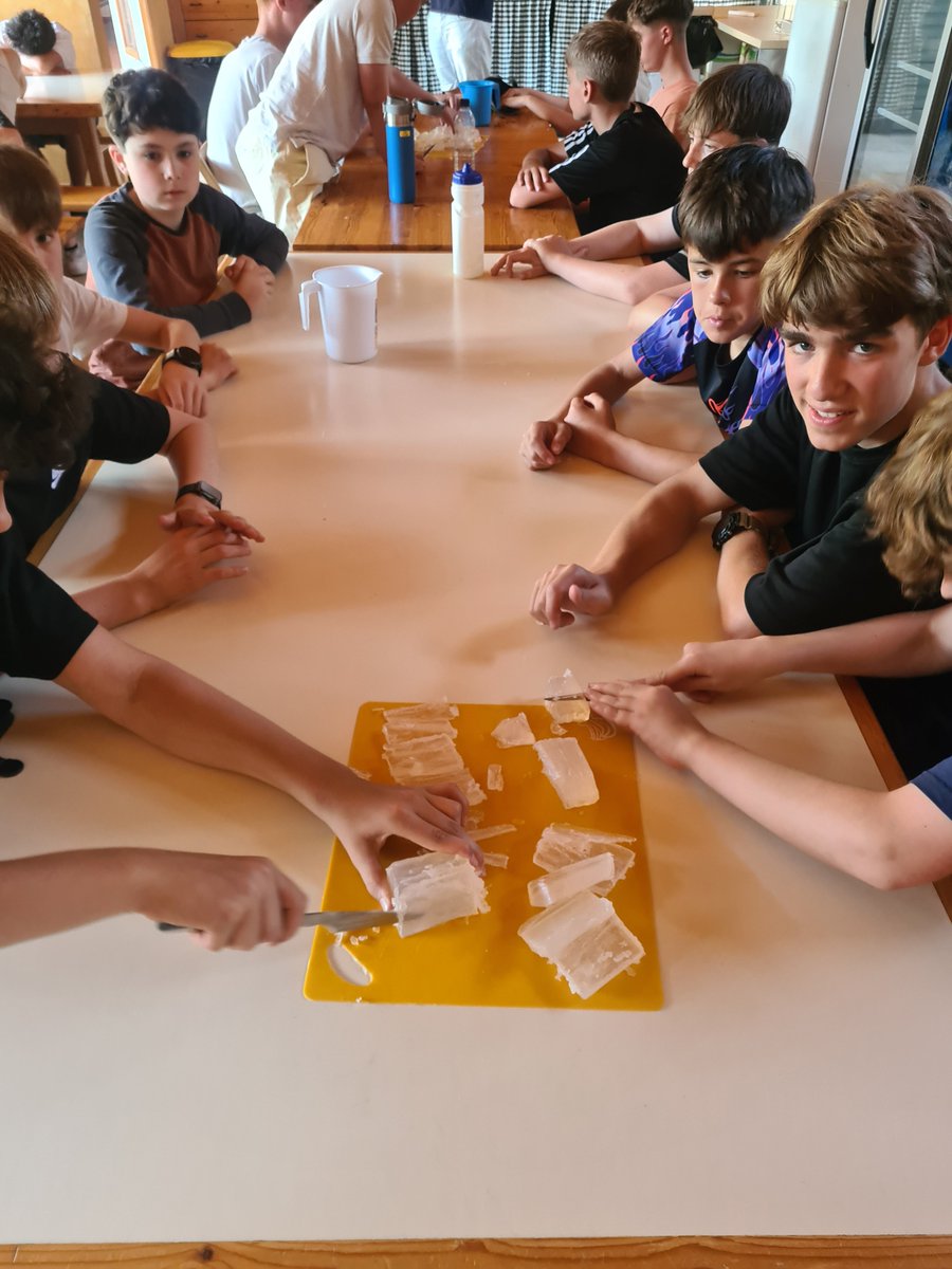 Clevedon Languages tweet media