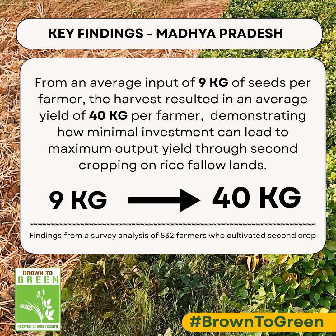 Atmashakti3's tweet photo. #BrownToGreen – Hariyali Ki Dusri Kranti
Our #SecondCropping intervention showed powerful results on rice fallow lands. Let’s scale this success nationwide! Urge @AgriGoI to support second cropping for a #ViksitBharat.
#ZeroIrrigation #RiceFallowManagement https://t.co/uwytDKv5Ir