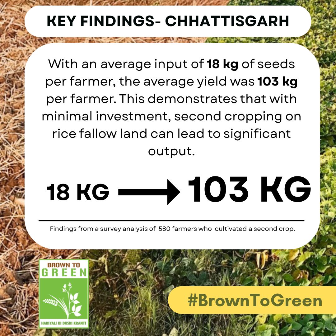 Atmashakti3's tweet photo. #BrownToGreen – Hariyali Ki Dusri Kranti
Our #SecondCropping intervention showed powerful results on rice fallow lands. Let’s scale this success nationwide! Urge @AgriGoI to support second cropping for a #ViksitBharat.
#ZeroIrrigation #RiceFallowManagement https://t.co/uwytDKv5Ir