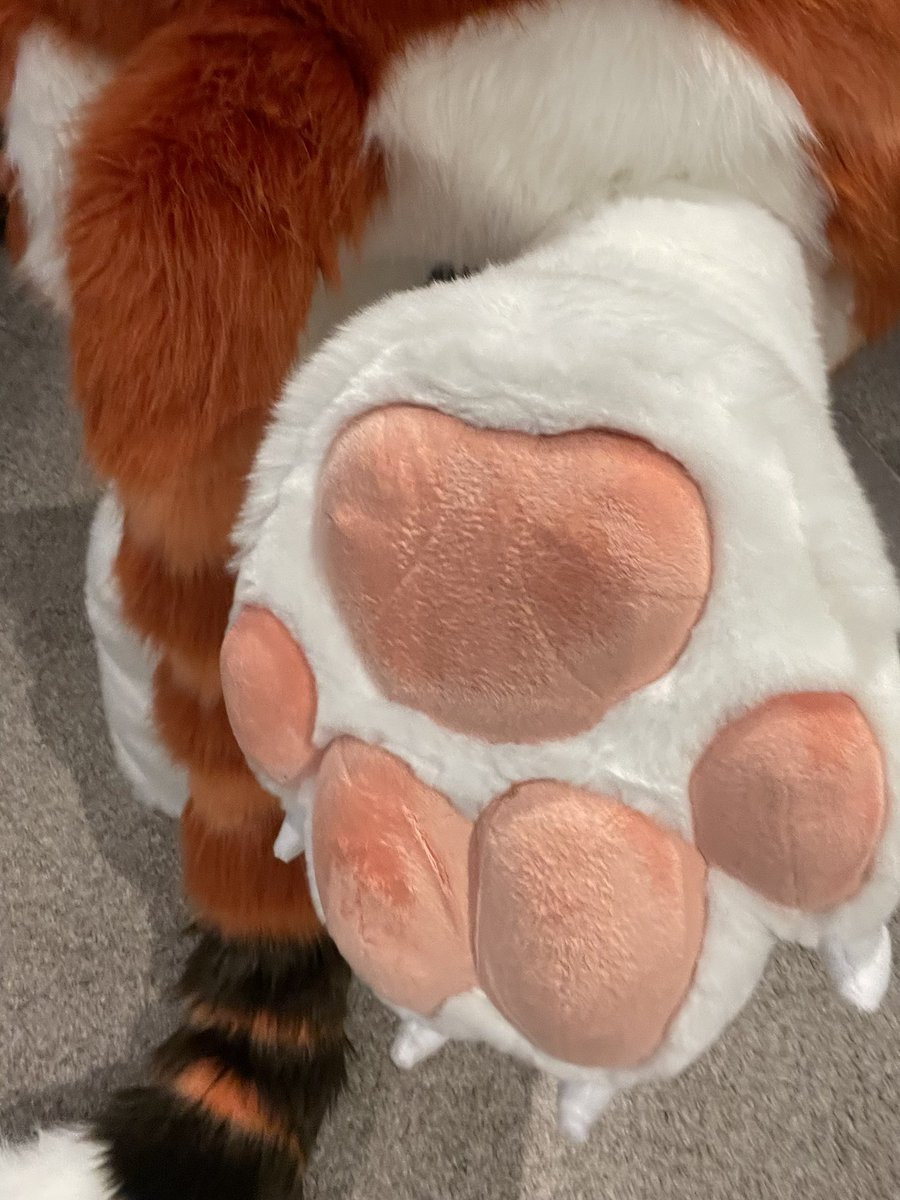 Bean reveal 💖

🪡🧵: HoundsTEETH