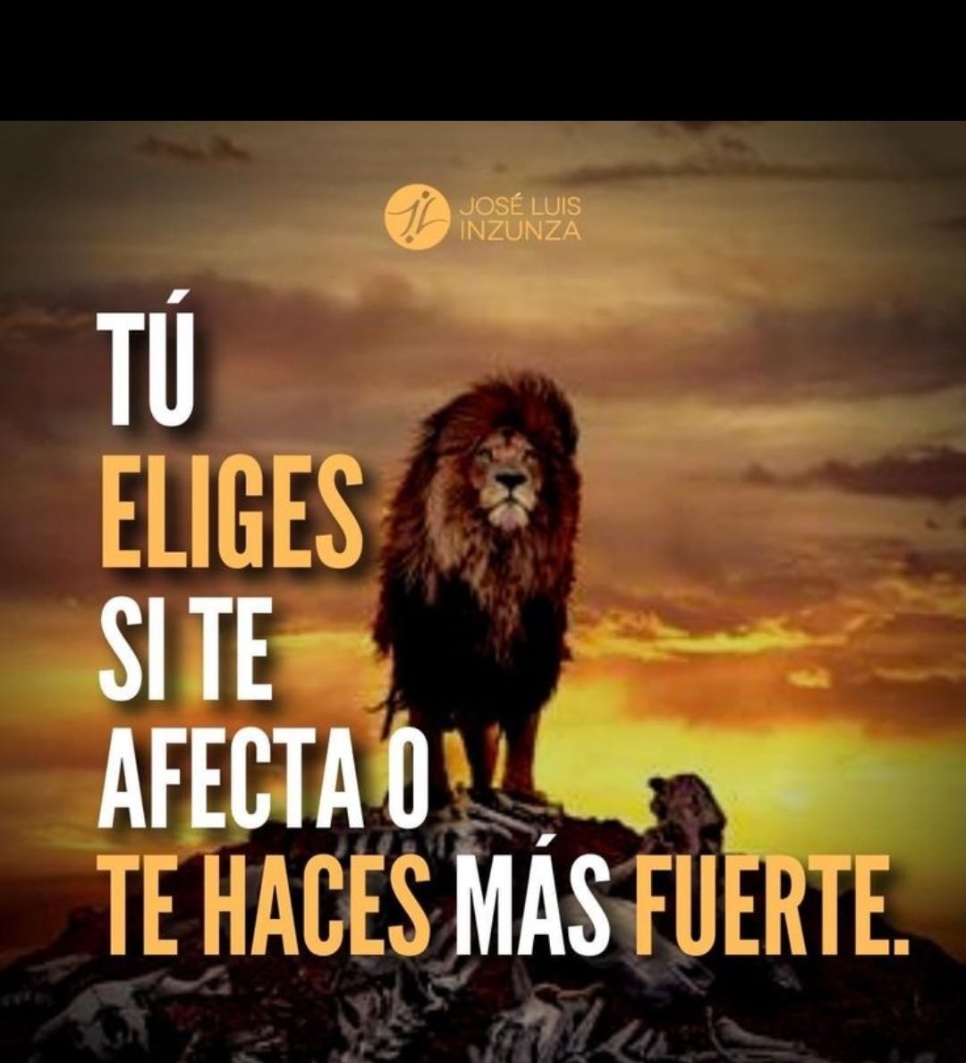 Louis Philip🦁Lion💯Oyola🦁 tweet media