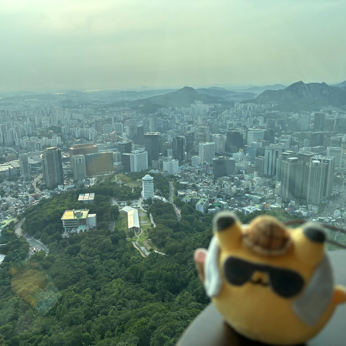 PorbTravels's tweet photo. seoul porb
#porbtravels https://t.co/CBCJTX7tVe