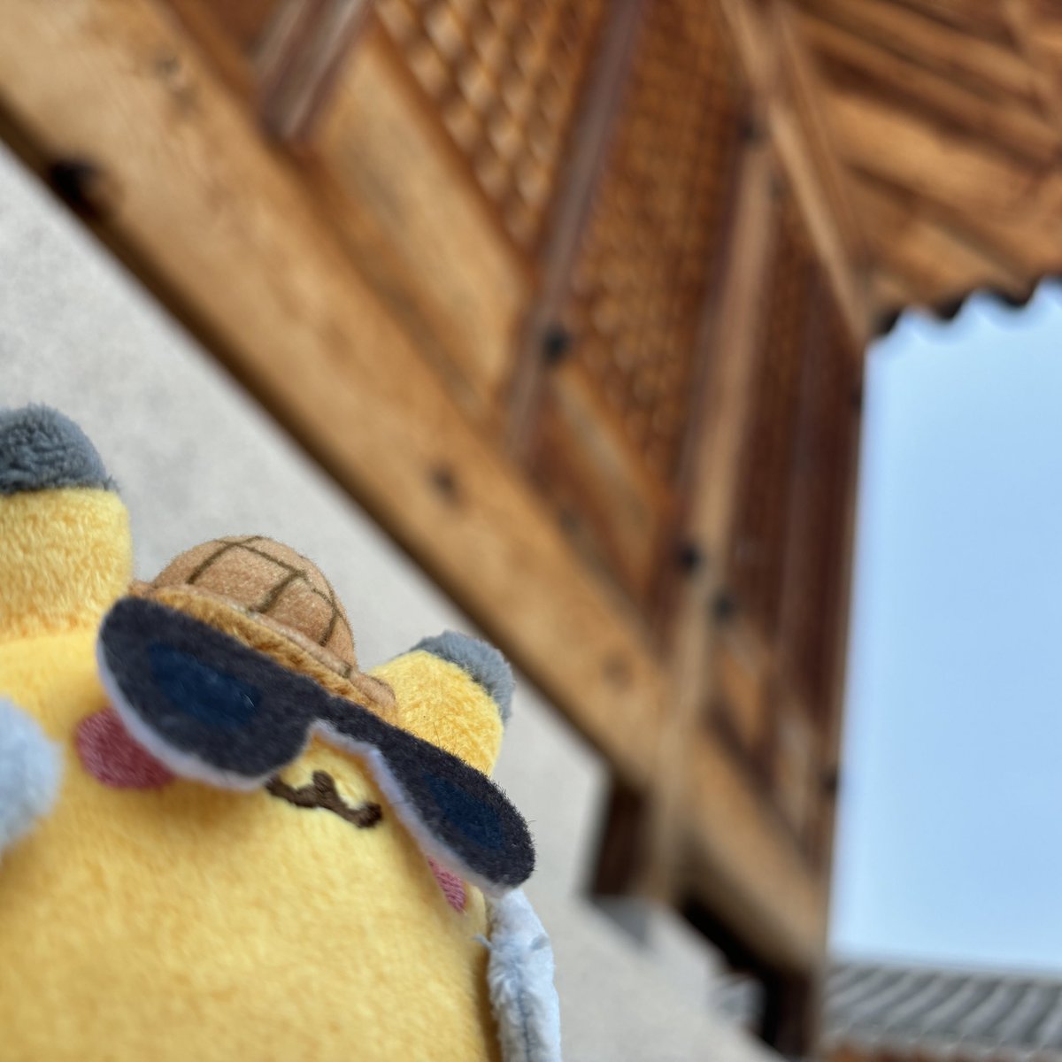 PorbTravels's tweet photo. seoul porb
#porbtravels https://t.co/CBCJTX7tVe