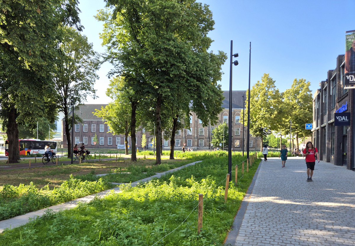 NandaSluijsmans's tweet image. Yes🥳, ook #Breda is nu bezig het centrum verder te #vergroenen!💪🏼🍃 Top!
#Klimaatadaptatie ☀️🌨