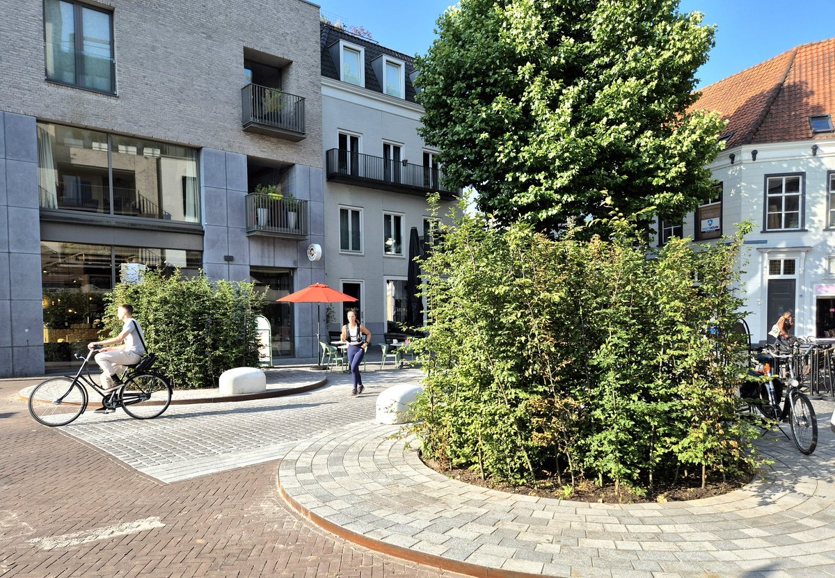 NandaSluijsmans's tweet image. Yes🥳, ook #Breda is nu bezig het centrum verder te #vergroenen!💪🏼🍃 Top!
#Klimaatadaptatie ☀️🌨