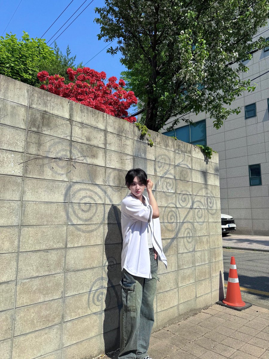 하루 tweet media