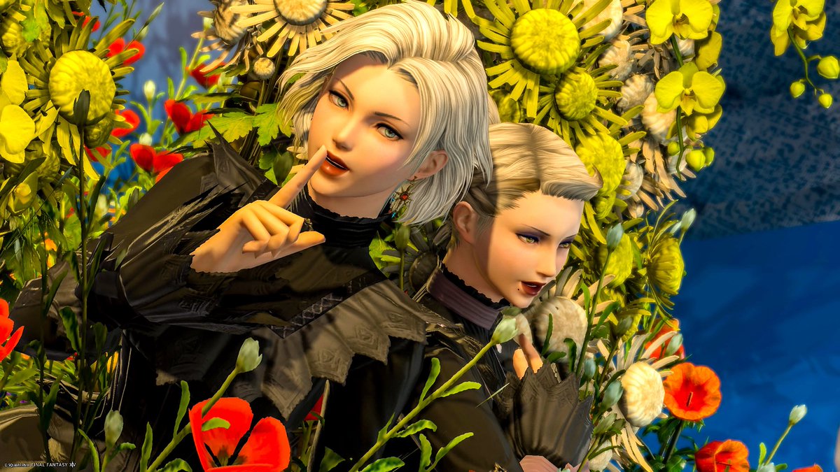 #eligoya
#SSP_FF14
みてくれよこの爆美女をよぉ…

(<a href="/iorn__game/">いおり🜸</a> )