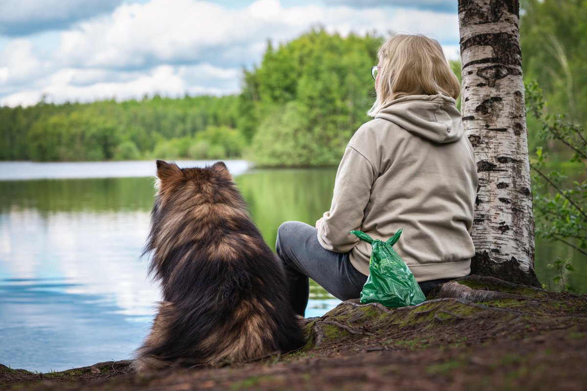 woofpanion's tweet photo. The future of poop bags is here. You got this. #woofpanion #DogLife #DogLovers #DogWalk #PuppyLove #DogMom #DogDad #EcoFriendly #SustainableLiving #PlasticFree #ZeroWastePets #EcoPet #GreenLiving https://t.co/FWvYFjCX9i