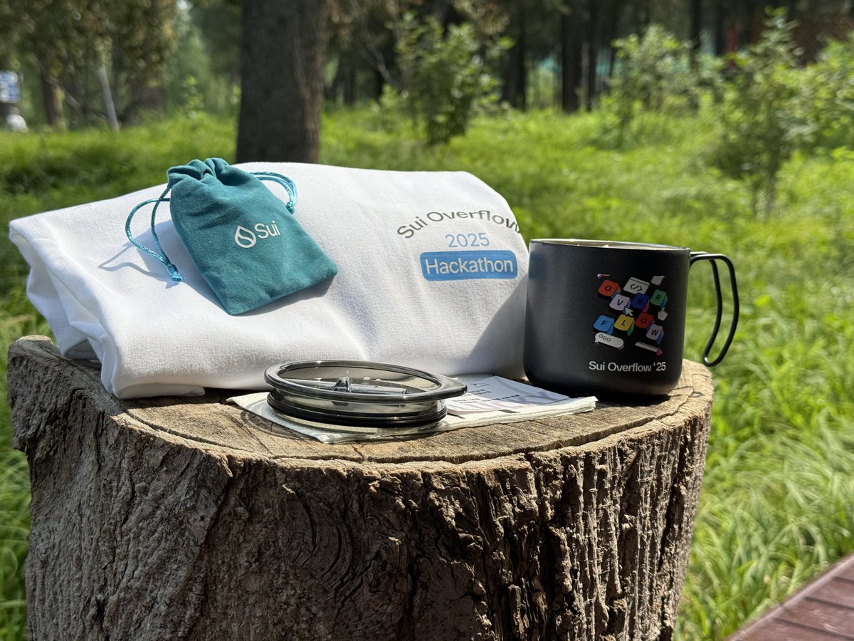 0xHOH's tweet image. Sui Overflow 社区投票进行中 🤩 为中文区项目投票打Call
vote.sui.io

⛳️ Explorations 赛道：MultiChainWalrus、PredictPlay
⛳️ Programmable storage 赛道：Wal0

- 关注 @0xHOH 
- 点赞、转发此推文并@ 3位朋友 
- 为中文区及自己心仪的黑客松参赛项目投票 🗳️

🎁…