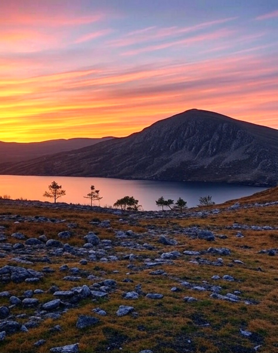 Focus all your attention on generating more capital to buy the dips that occur now.

All macro fear is bogus. All news of WW3 is a sham. We've seen the worst and recovered. The future is bright for those who endure the darkness.