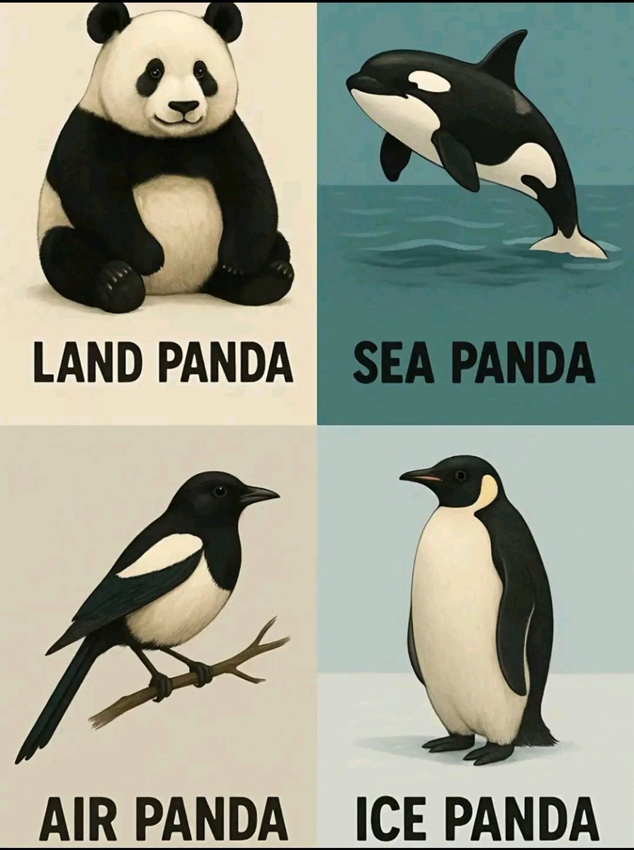 Arkadaşlar,

Size panda türlerini tanıtıyorum.

Varsa sizin başka bildiğiniZ ekleyin.

❗ MrJokerAntiall ❗ 

💫🪁🎭🦀🌾✌️🐾🃏