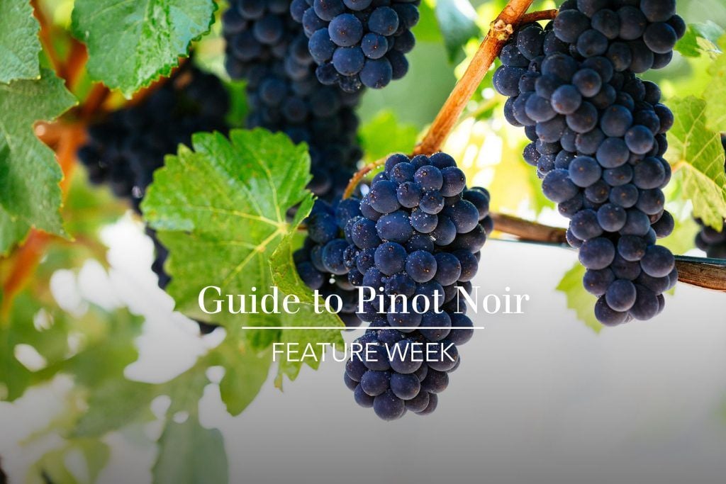 Pinot noir is one of the most food-friendly reds out there. It doesn’t need a steak to shine. therealreview.com/2025/06/18/stu…