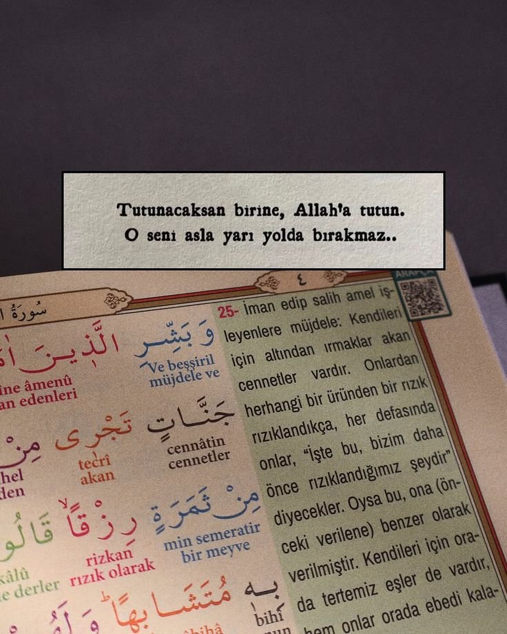 ayaserenat's tweet photo. https://t.co/Q8MdKFwDAC