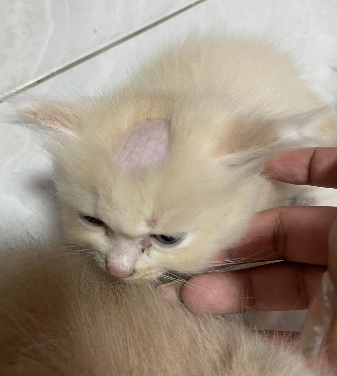 5555555555555555555 ทำไมพิ้ทำกะหนูแบ่บนี้ 5555555555555555555555555555