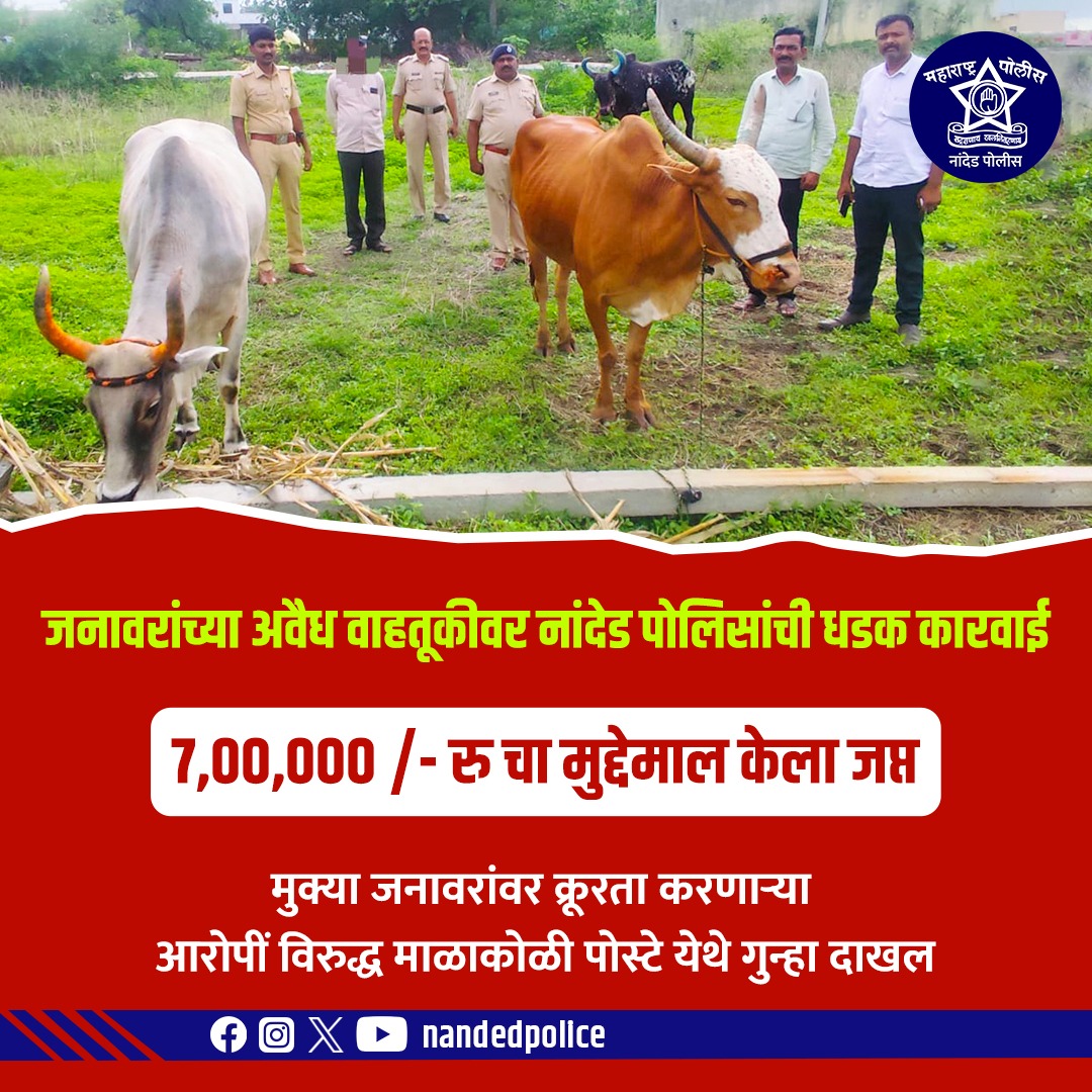 नांदेड पोलिसांकडून जनावरांच्या अवैध वाहतुकीवर कठोर कारवाई!

मूक जनावरांवर होणाऱ्या क्रूरतेला आळा घालत माळकोळी पोलीस ठाण्याच्या पथकाने 7 लाख रुपयांचा मुद्देमाल जप्त केला!

अवैध वाहतूक करणाऱ्या आरोपीविरोधात गुन्हा दाखल
#NandedPolice #AnimalProtection #IllegalTransport #CrimeControl