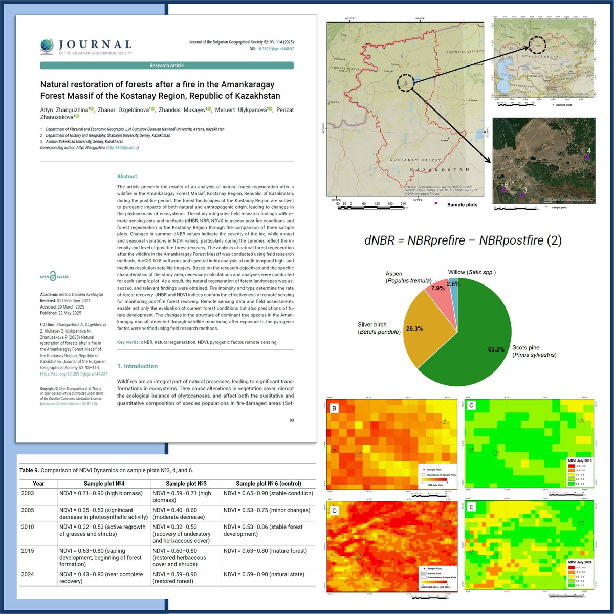 This paper integrates field research findings with remote sensing data and methods (dNBR, NBR, NDVI) to assess post-fire conditions and forest regeneration through comparison of three sample plots.
Read more at doi.org/10.3897/jbgs.e…