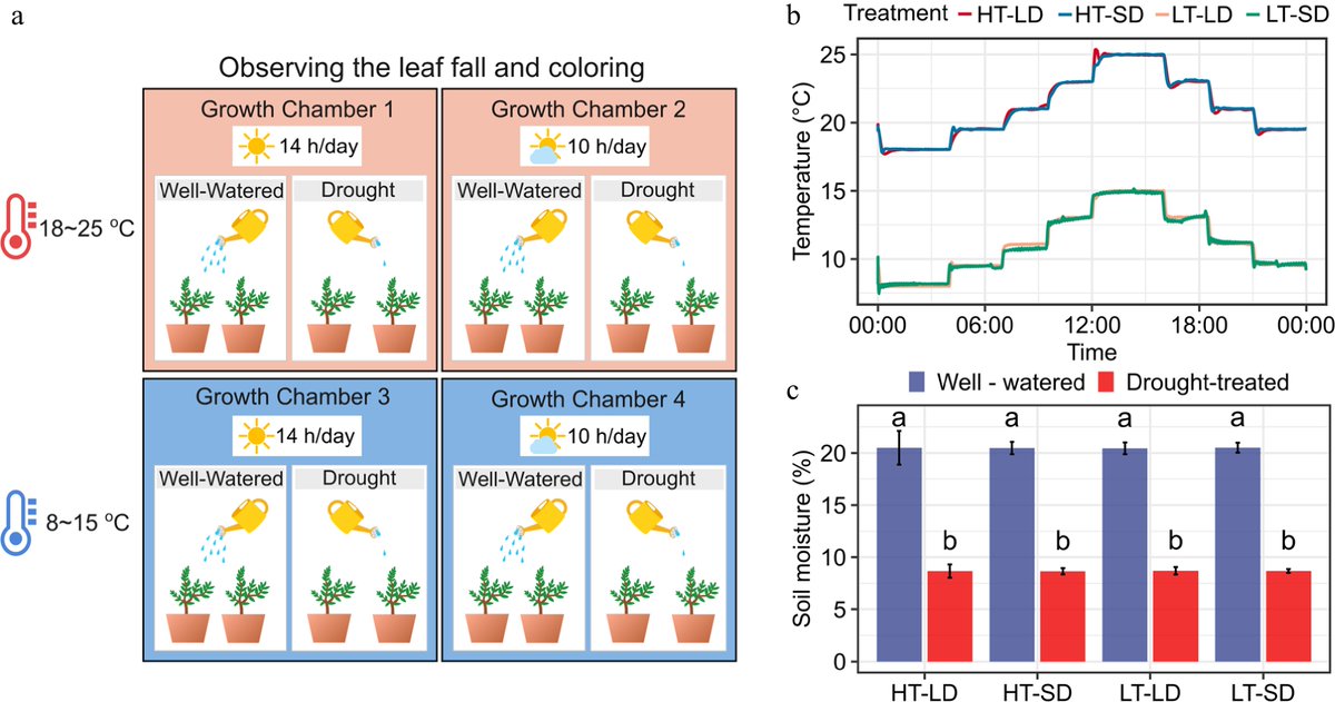 ForestryRes's tweet photo. #ForestryRes #lowtemp #leaf #triggers #climatewarming
Climate warming delays subtropical trees' autumn leaf senescence. Low temp triggers it, but drought & short days help in warm autumns. 🌳🌡️
@MaximumAcademic @Forestry_UK @AbioticStress
Details: https://t.co/oj9IUblKCL https://t.co/LOBwRoiorH
