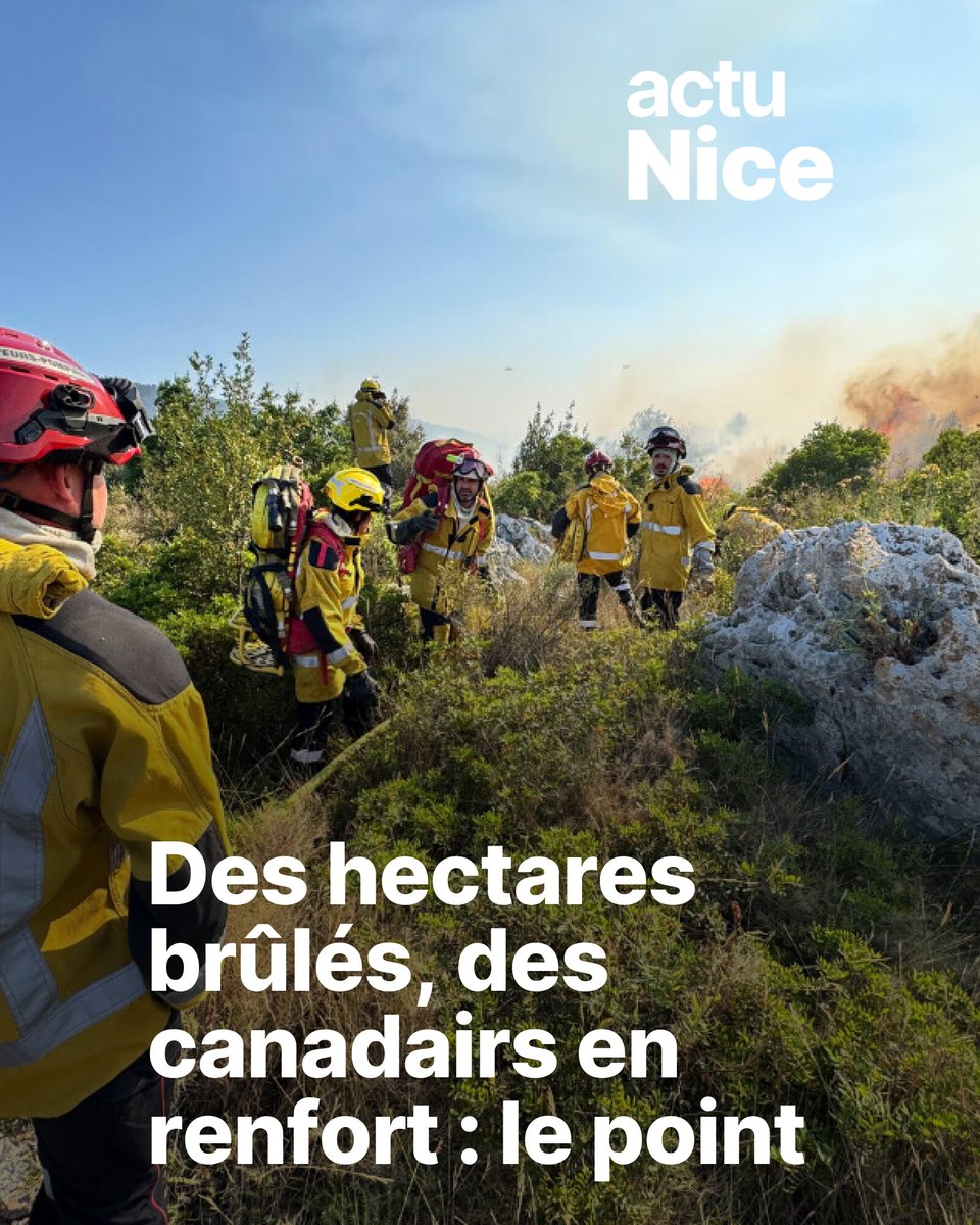 🔴 Plusieurs hectares de végétation ont été détruits par les flammes

➡️ l.actu.fr/VPAs