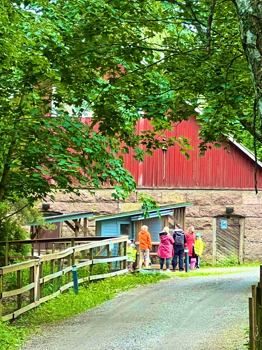 Eri ikäisten mukava kohtaamispaikka. <a href="/foibekartano/">Foibekartano</a>’n #kotieläinpiha lampaineen ja kanoineen #yhdessä #hyväelämä #elämykset