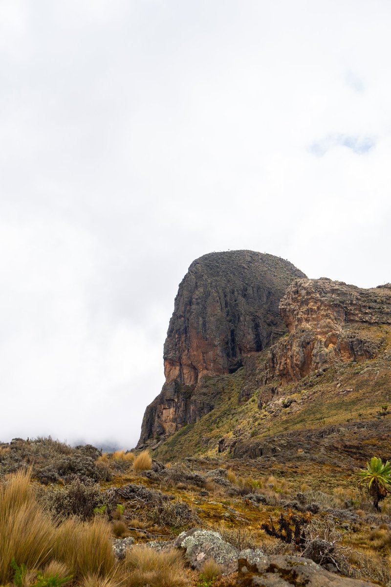 nyanasafaris's tweet image. 📍 Mt. Elgon – Where Adventure Touches the Sky
🏞️ Straddling the Uganda-Kenya border, Mt. Elgon is home to one of the world’s largest volcanic calderas and Uganda’s second-highest peak.
🧗♂️ Hike through lush montane forests, explore ancient caves, chase hidden waterfalls, and…