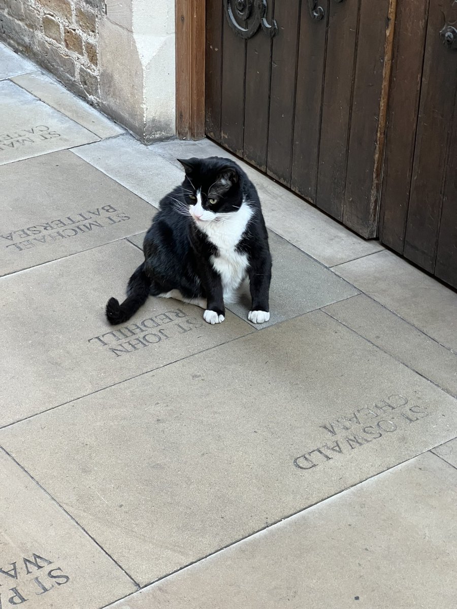 Heather Tweed (@heathertweed) on Twitter photo <a href="/Soc_of_Authors/">The Society of Authors</a> <a href="/Southwarkcathed/">Southwark Cathedral</a> Hodge listened backstage and was inspired to leap to his little cat typewriter to begin his opus cattus đ»đđđ <a href="/Soc_of_Authors/">The Society of Authors</a> <a href="/Southwarkcathed/">Southwark Cathedral</a> Hodge listened backstage and was inspired to leap to his little cat typewriter to begin his opus cattus đ»đđđ