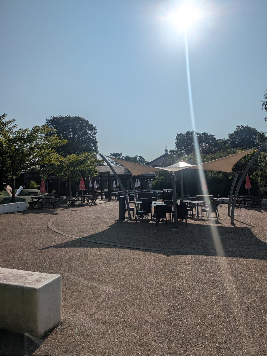 g_ledgerd's tweet photo. Sun's out the gardens are looking superb. Plenty of umbrellas out to stop sunburn. Remember your suncream and come down for a cooling drink and ice cream @StockwoodDC https://t.co/IO0ZQbwPSG
