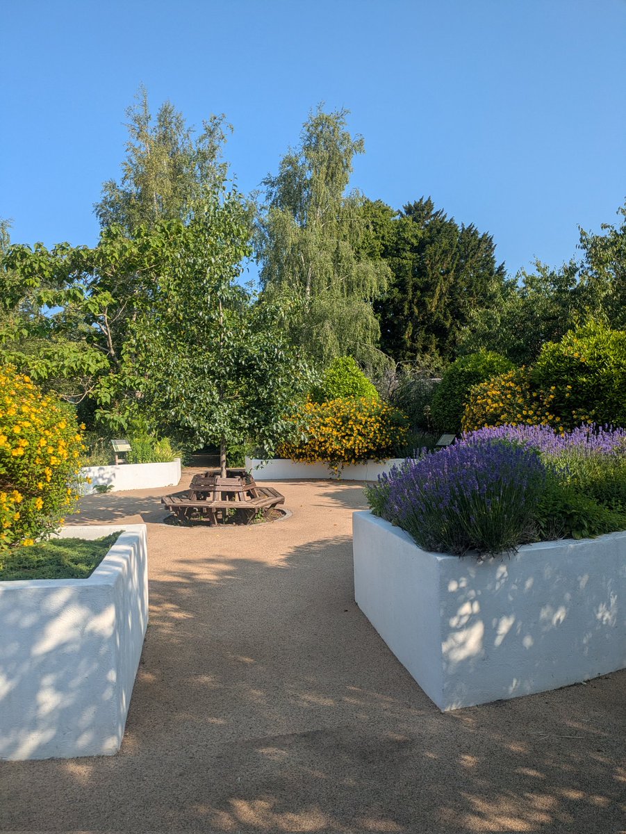 g_ledgerd's tweet photo. Sun's out the gardens are looking superb. Plenty of umbrellas out to stop sunburn. Remember your suncream and come down for a cooling drink and ice cream @StockwoodDC https://t.co/IO0ZQbwPSG