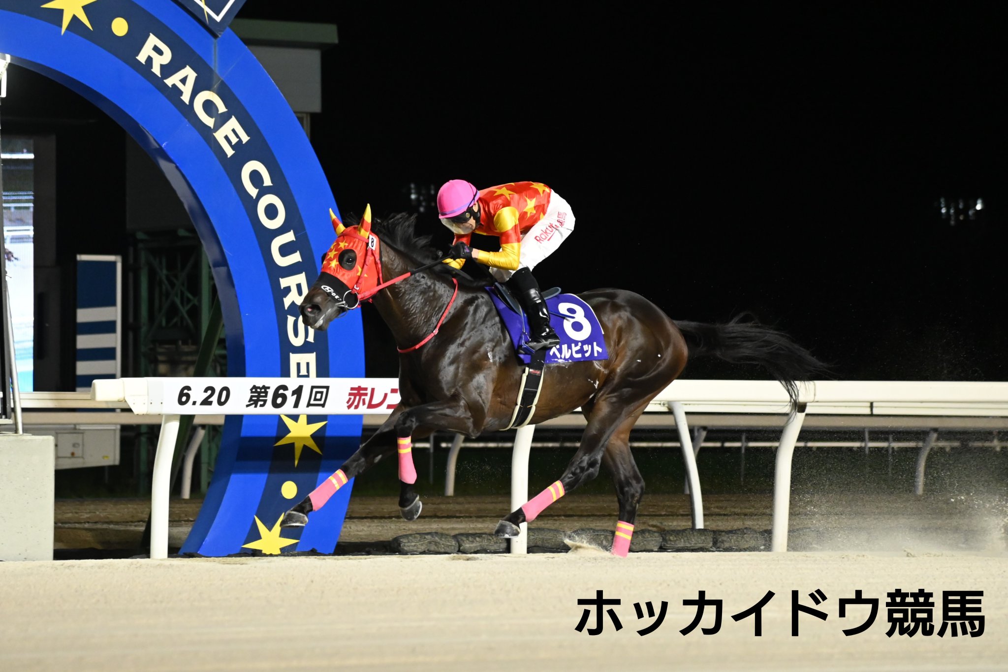 地方競馬全国協会(NAR)公式 on X: 