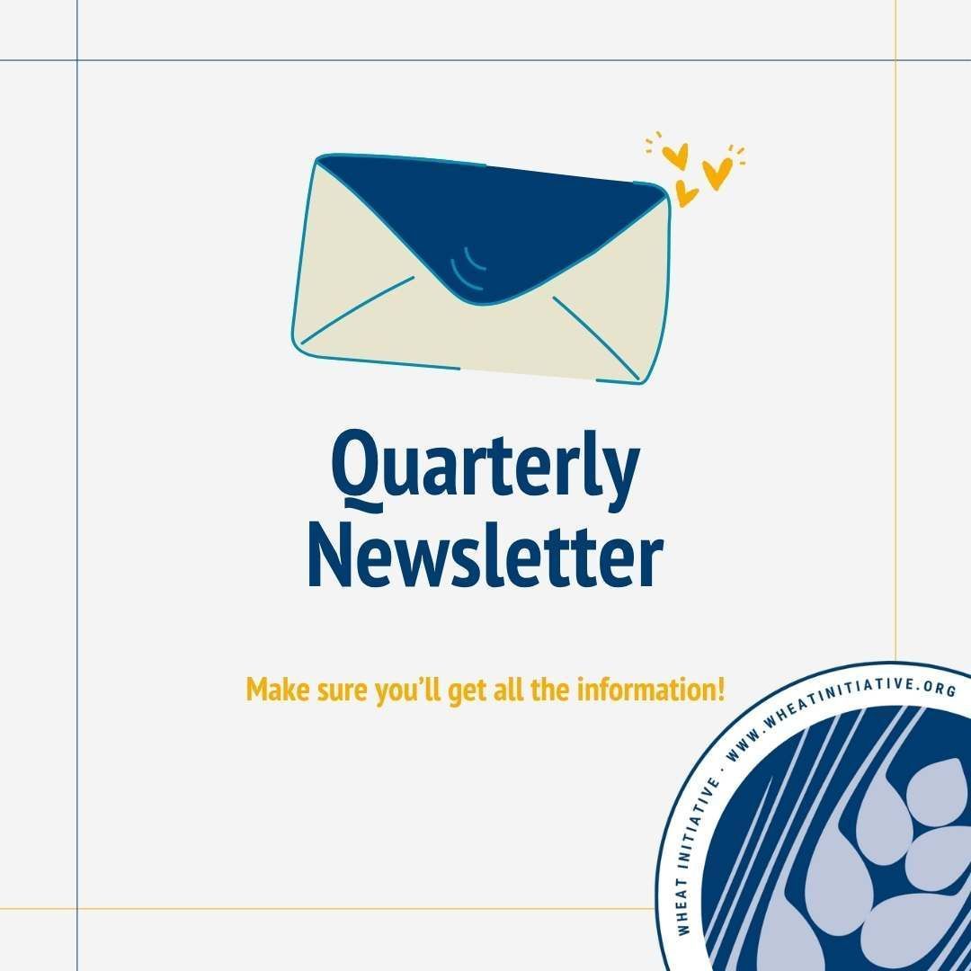 Wheat Initiative (@wheatinitiative) on Twitter photo The quarterly newsletter provides our top scientific reads, carefully selected by the  Scientific Board for you! Plus a Wheat Story concerning wheat. 
wheatinitiative.org/newsletter The quarterly newsletter provides our top scientific reads, carefully selected by the  Scientific Board for you! Plus a Wheat Story concerning wheat. 
wheatinitiative.org/newsletter