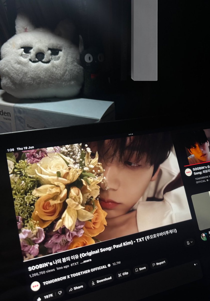 sooblapin's tweet image. #streamingsoobin