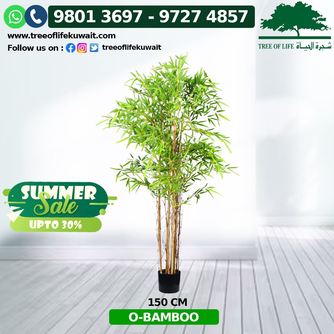 treeoflifekwt's tweet photo. #bamboo #newhouse #furniture #Mosskuwait #GreenWallkuwait #plantwork #plant #tree #summersale #kuwaitoffer #bestoffer #hydroplant #maintenance #megaoffer #discounts #weekendoffer #sale #Treeoflifekuwait #Treekuwait #Plantkuwait #Artificalplant #Natualplant #Artificialtree https://t.co/f2ZuX4xbUp