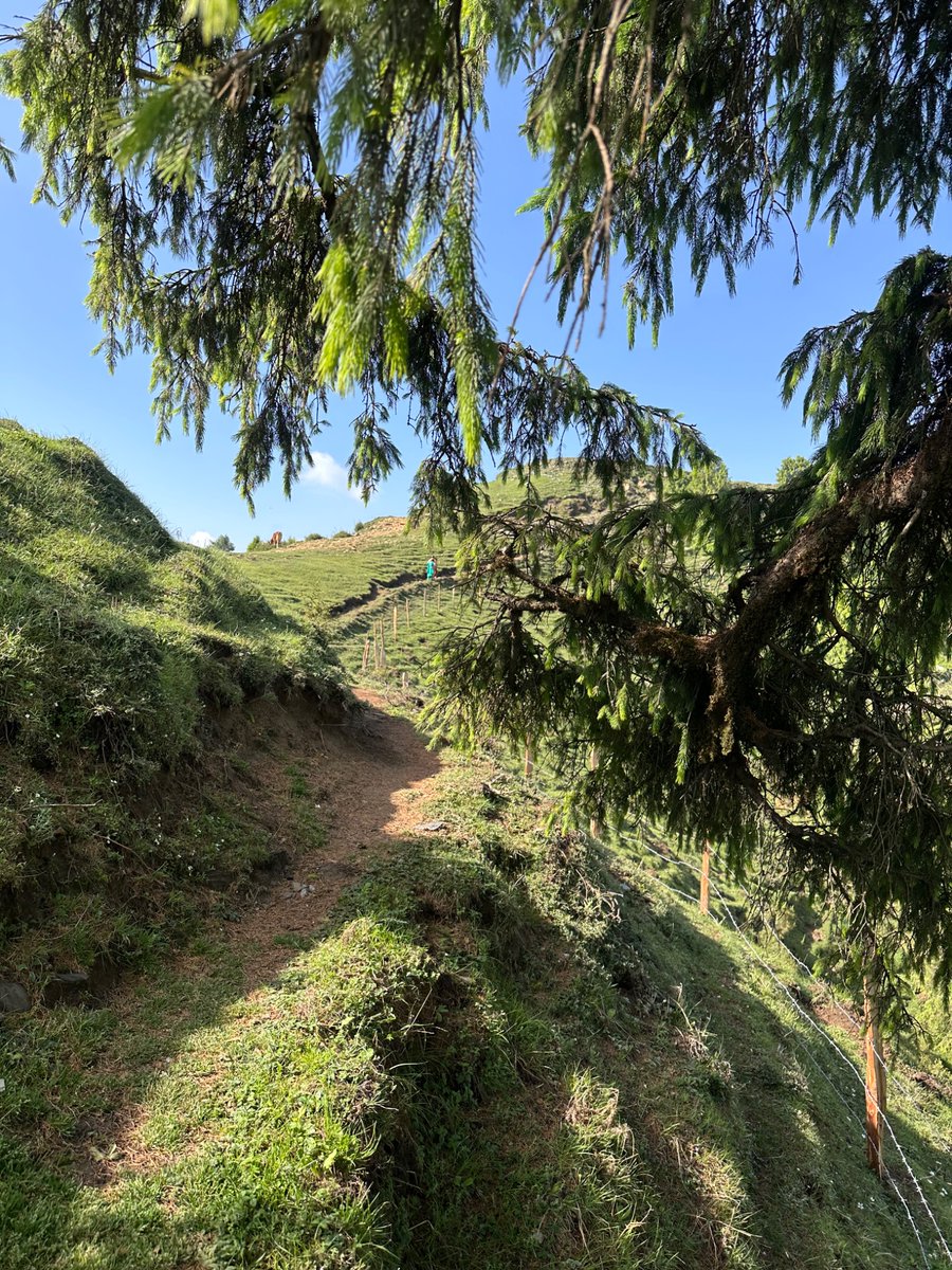 nazariyaa__'s tweet image. Walking through monsoon greens 🌲🌦️