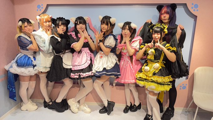 にゃんぽんたんのツイート