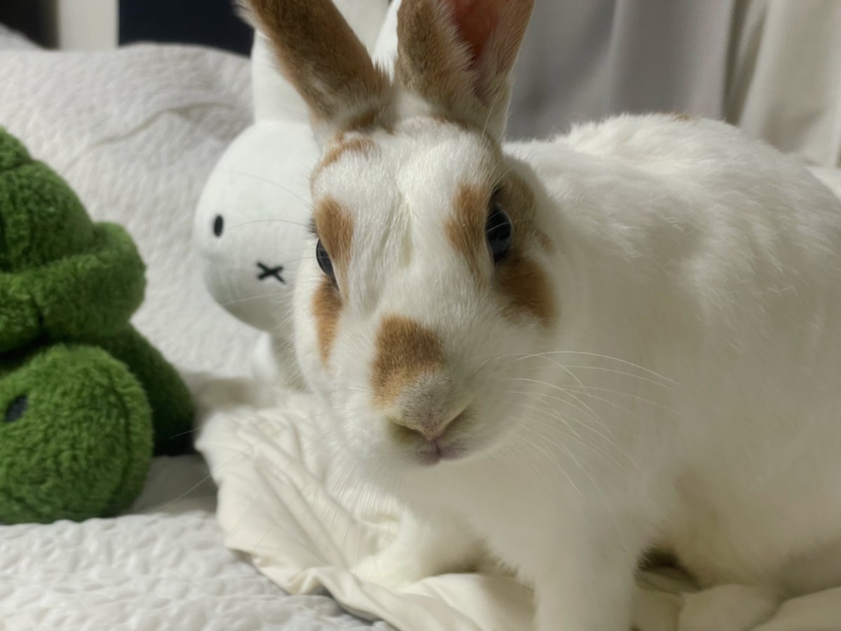 엉니 얘네 누구임?