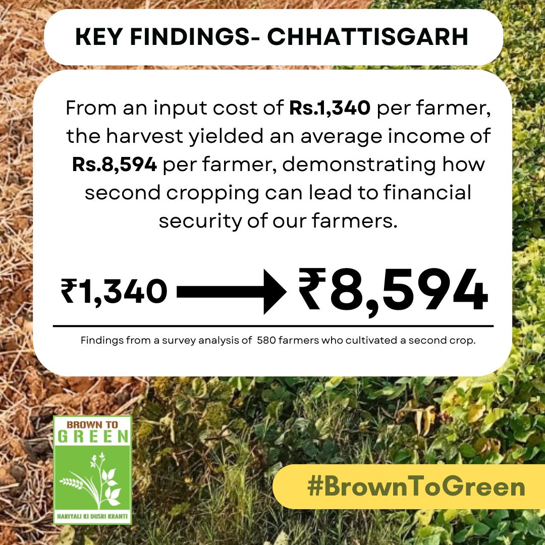 NccmCG23's tweet photo. #BrownToGreen – Hariyali Ki Dusri Kranti Our #SecondCropping pilot showed powerful results on rice fallow lands. Let’s scale this success nationwide! Urge
@AgriGoI @AgriCgGov
to support second cropping for a #ViksitBharat. #ZeroIrrigation #RiceFallowManagement https://t.co/XEiAmnj5K2