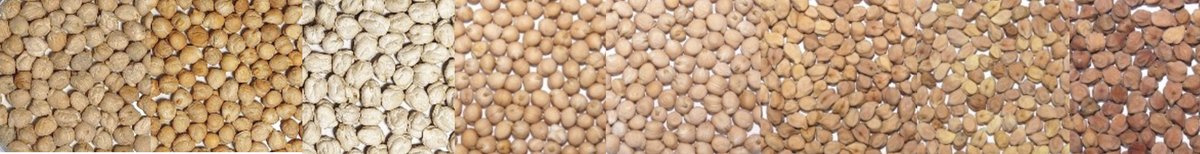 Universidad Granada tweet media