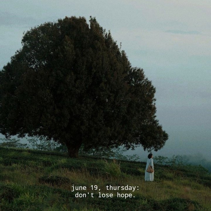 WordsCocoon's tweet photo. june 19, thursday... https://t.co/eXCsgutocM