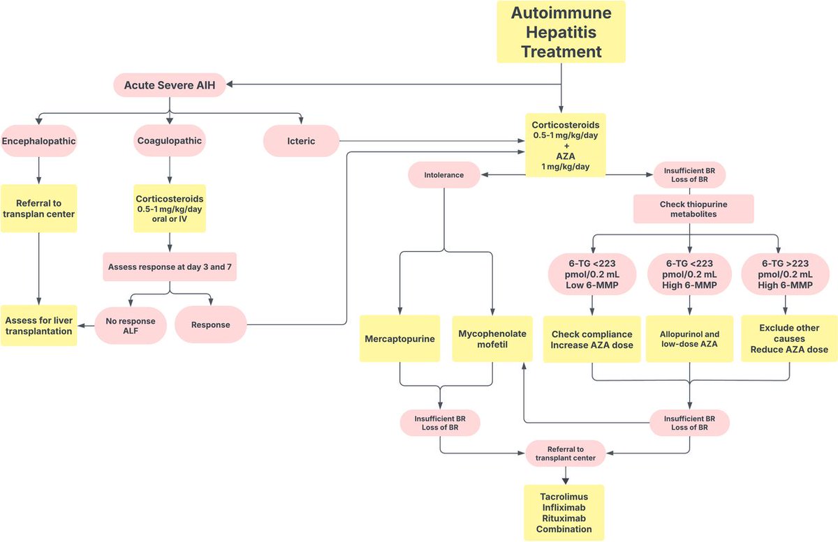 🎉  New review out 🥳    <a href="/ilkayergenc/">Ilkay Ergenc</a> and <a href="/MichaelHenegha8/">The Liver Dude</a> explore the therapeutic pipeline for difficult-to-treat autoimmune hepatitis (AIH) 🤔 — from thiopurine optimisation to biologics and beyond, with a fantastic stepwise approach 🤓 💊 ! 

Check it out 🫵 !