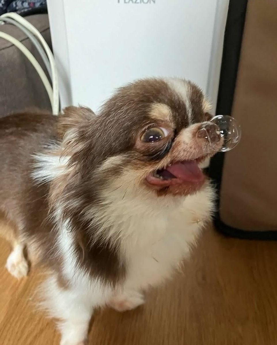 this is who you’re asking to engage in discourse