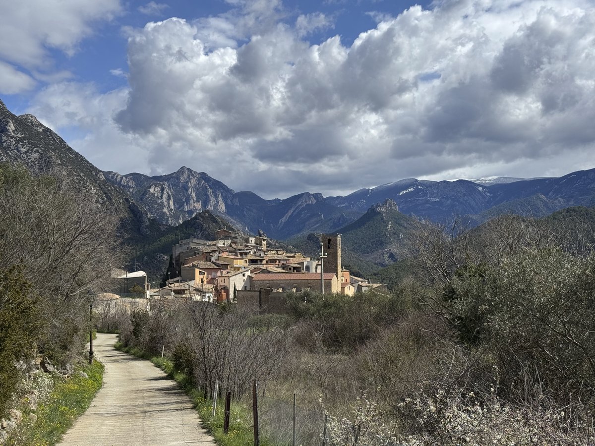 Errant. Itineraris d'Art i Pensament tweet media