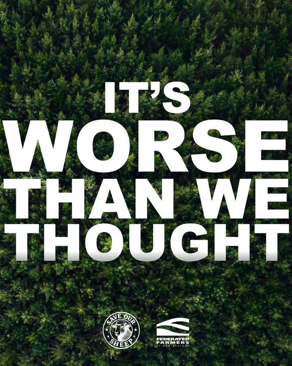 New research from Beef + Lamb NZ shows that since 2017 we’ve lost more than 300,000 hectares of productive farmland to pines 🌲 🌲 🌲 🌲 🌲 🌲 🌲 🌲 🌲 🌲 🌲 🌲 🌲 🌲 🌲 🌲 🌲 🌲 🌲 🌲 🌲 🌲 🌲 🌲 🌲 🌲 🌲 🌲 🌲 🌲 🌲 🌲 🌲 🌲 🌲 🌲 🌲 🌲 🌲 🌲 🌲 🌲 🌲 🌲 🌲 🌲 🌲 🌲 🌲 🌲 🌲 🌲