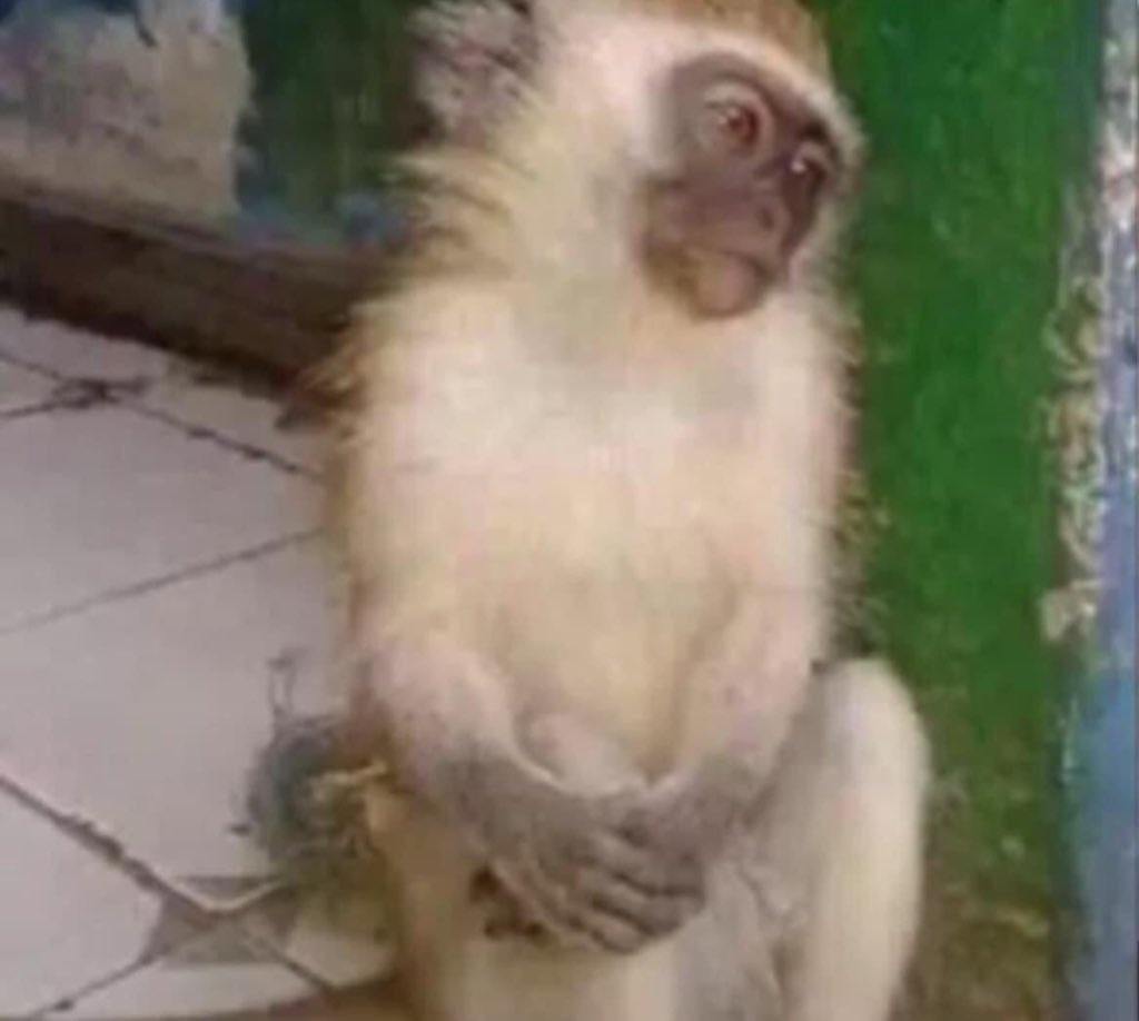 Wizkid: "I no dey Carry kele wey no dey like chop"

Whatsapp girls:
